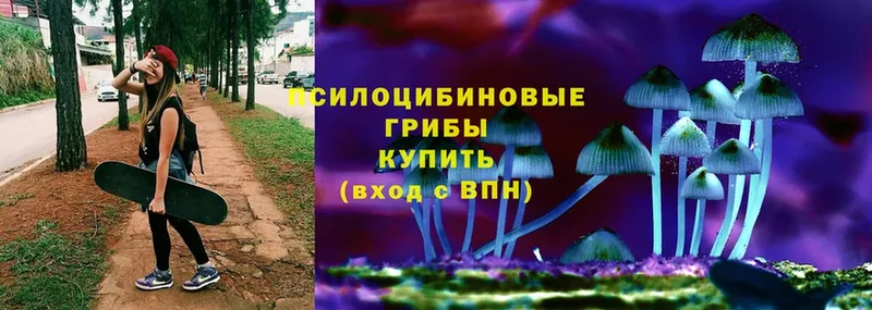 Галлюциногенные грибы Psilocybine cubensis  где можно купить наркотик  Советский 