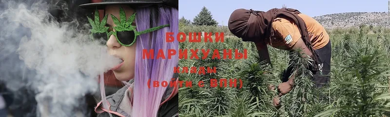 Марихуана SATIVA & INDICA  Советский 